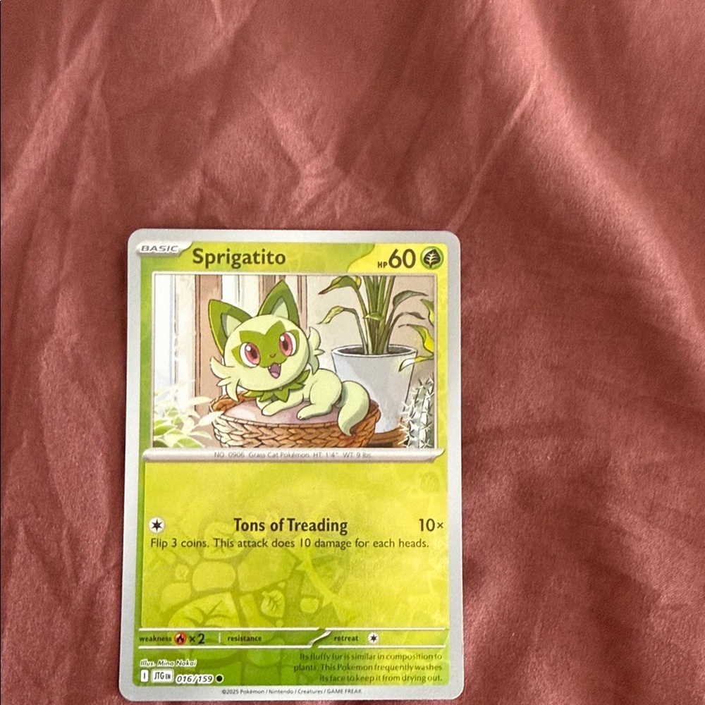 Sprigatito Pokémon Card